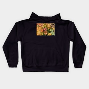 Aerial top down landscape of beautiful colorful autumn forest Kids Hoodie